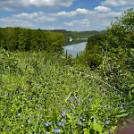 Apartment #8 Ommi Kese See-suite Fd Sauna Hund Terrasse Olpe