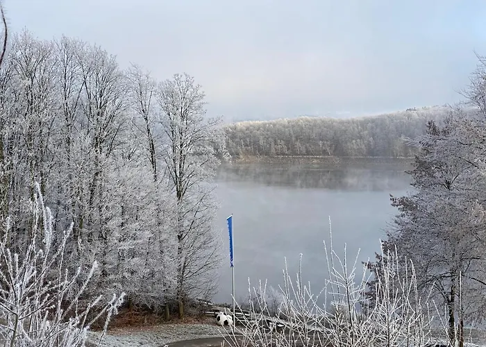 #8 Ommi Kese See-suite Fd Sauna Hund Terrasse Olpe bei Meschede