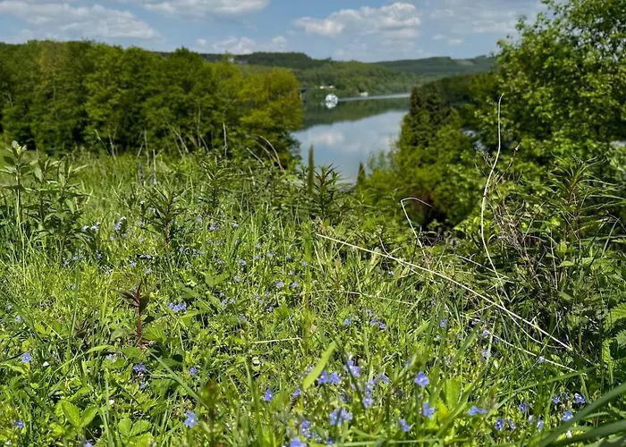 Apartament #8 Ommi Kese See-suite Fd Sauna Hund Terrasse Olpe bei Meschede